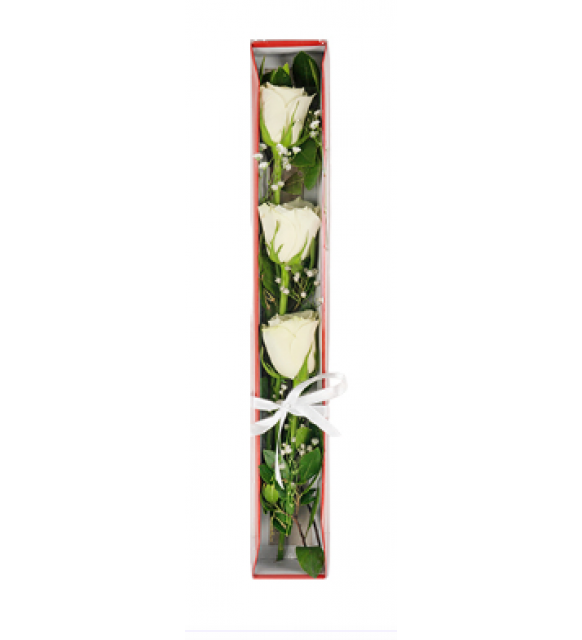 Kutuda Beyaz Güller (3'lü - ~48 cm)